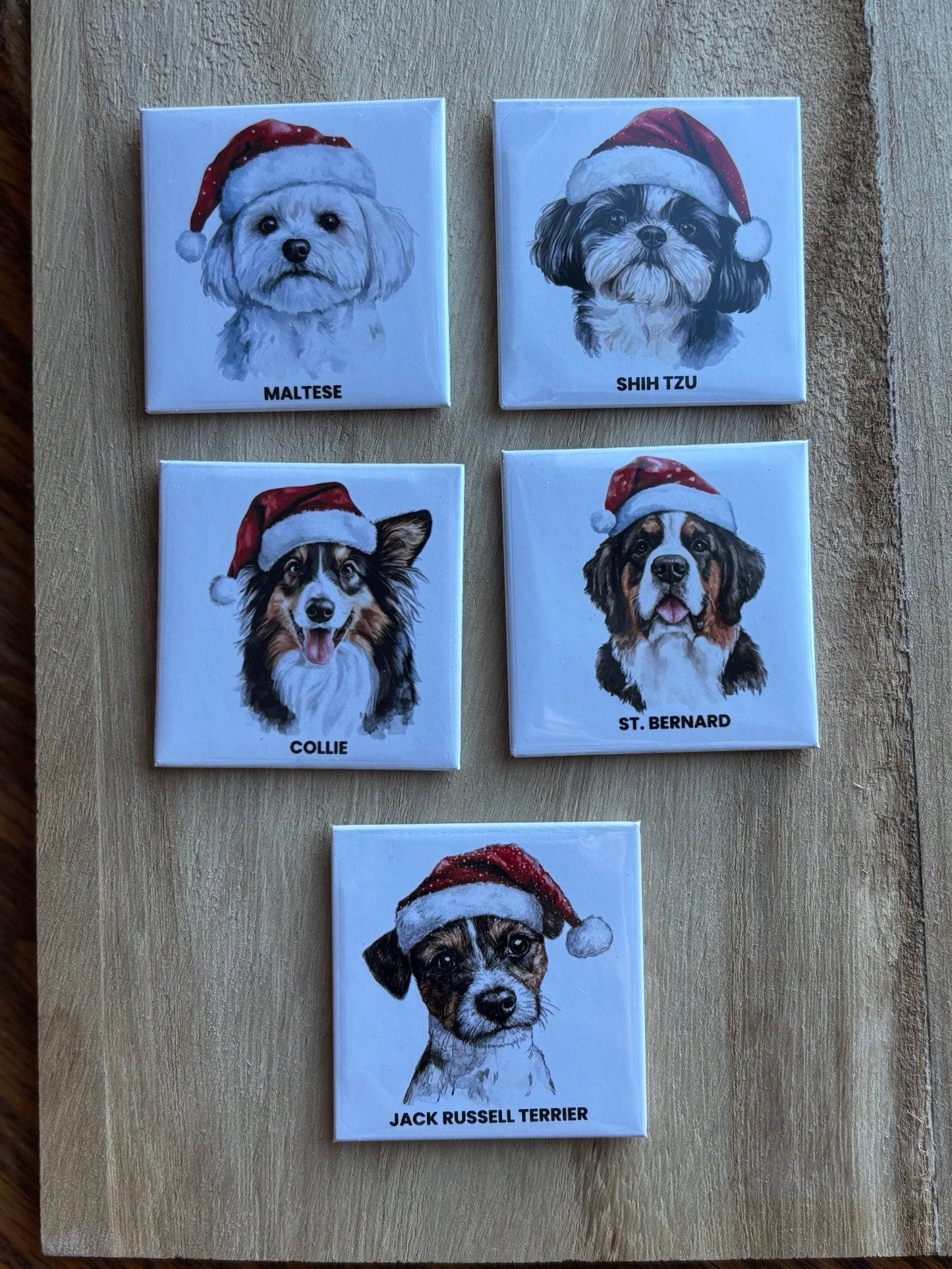 Dog Santa Hat Magnets